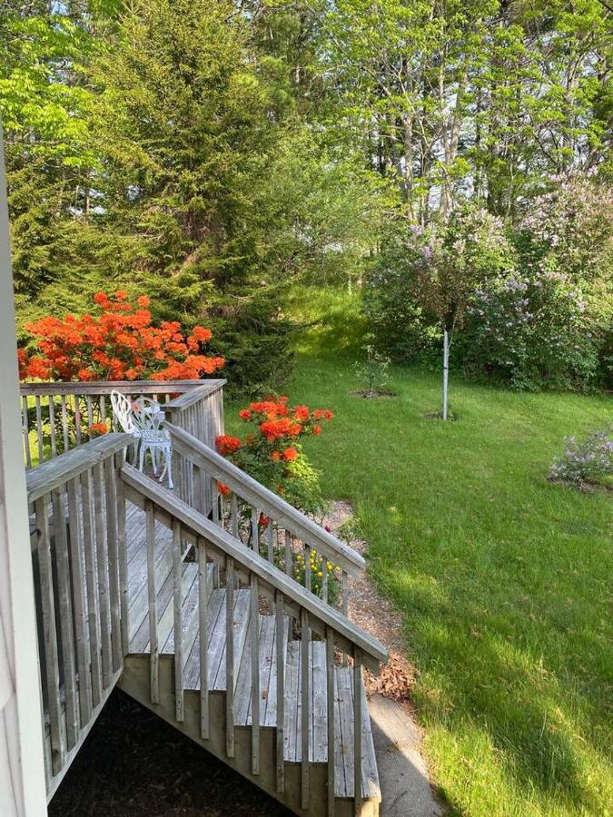 Appartement Sea La Vie à Mahone Bay Extérieur photo