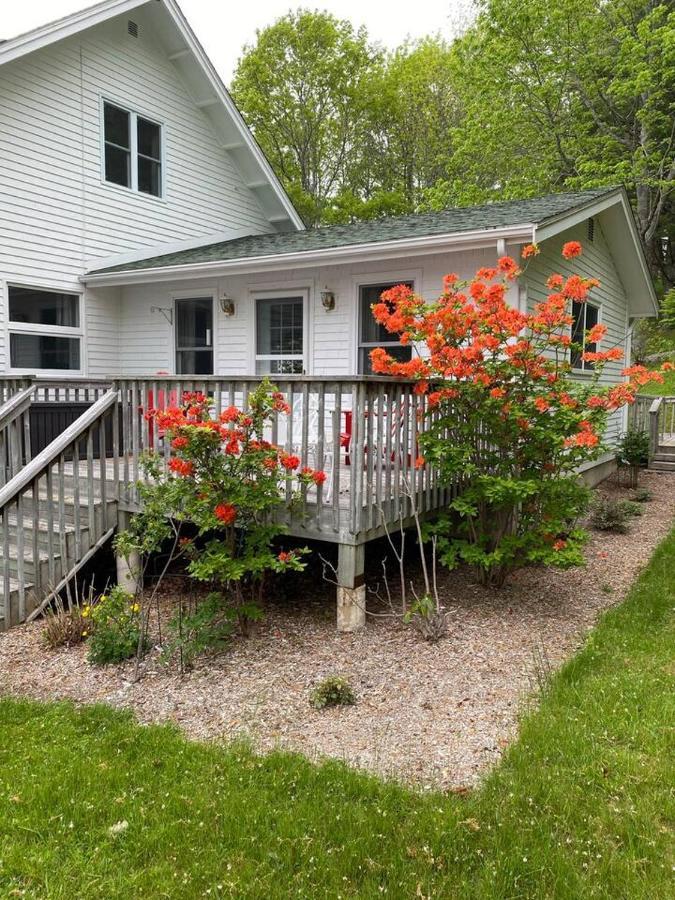 Appartement Sea La Vie à Mahone Bay Extérieur photo